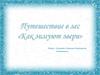Путешествие в лес. Как зимуют звери