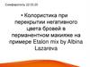 Колористика при перекрытии негативного цвета бровей в перманентном макияже