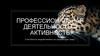 Профессиональная деятельность = активность