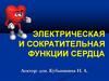 Электрическая и сократительная функции сердца