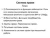 Система крови