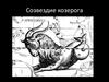 Созвездие Козерога