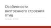 Особенности внутреннего строения птиц. Таблицы и рисунки
