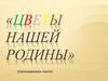 Цветы нашей Родины