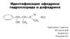 Идентификация эфедрина гидрохлорида и дэфедрина