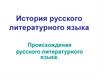 История русского литературного языка