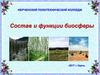 Состав и функции биосферы