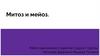 Митоз и мейоз