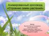 Анимированный кроссворд «Строение семян растений»