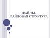 Файлы. Файловая структура