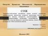 Амбулатория жағдайында сарғаю кезіндегі рационалды дифференциалды диагностика алгоритмі