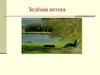 Зеленая аптека