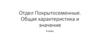 Отдел Покрытосеменные. Общая характеристика и значение. 6 класс