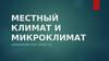 Местный климат и микроклимат
