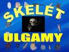 Skelet ulgamy