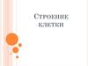 Строение клетки