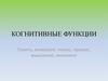 Когнитивные функции. Память, внимание, гнозис, праксис, мышление, интеллект