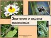 Значение и охрана насекомых