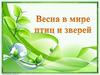 Весна в мире птиц и зверей