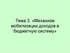 Механизм мобилизации доходов в бюджетную систему