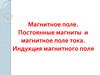 Магнитное поле. Постоянные магниты и магнитное поле тока. Индукция магнитного поля