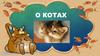 О котах. Породы котов