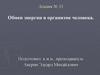 Обмен энергии в организме человека