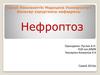 Нефроптоз
