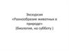 Экскурсия «Разнообразие животных в природе»
