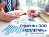 Стратегия ООО «КОТЛЕТАРЬ»