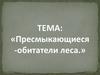 Пресмыкающиеся, обитатели леса