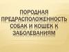 Породная предрасположенность собак и кошек к заболеваниям