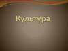 Понятие и функции культуры. Формы и разновидности культуры