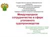 Международное сотрудничество в сфере уголовного судопроизводства. (Тема 4.2)