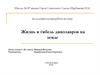 Жизнь и гибель динозавров на земле