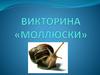 Викторина «Моллюски»
