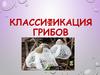 Классификация грибов