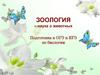 Зоология– наука о животных. Подготовка к ОГЭ и ЕГЭ по биологии