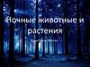 Ночные животные и растения