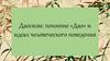 Даосизм: понятие «Дао» и идеал человеческого поведения