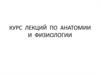 Анатомия и физиология как наука. Человек как предмет изучения анатомии и физиологии