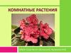 Комнатные растения