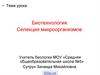Биотехнология. Селекция микроорганизмов