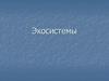 Экосистемы. Лекция 8