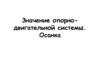 Значение опорно-двигательной системы. Осанка