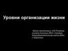 Уровни организации жизни