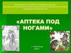 Аптека под ногами. Беседа о лекарственных травах