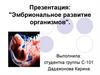 Эмбриональное развитие организмов