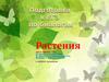 Растения. Подготовка к ЕГЭ по биологии