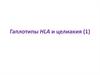 Гаплотипы HLA и целиакия